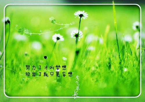 感悟中年人生的句子