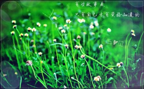 关于亲情感人的小故事