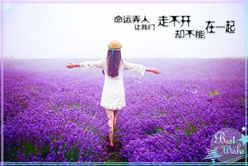 关于目标的名人名言