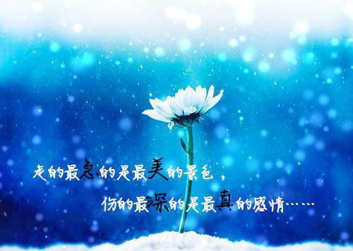 简洁的周末祝福语大全