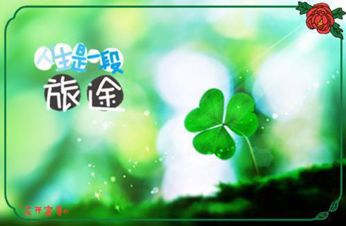 让人哭的爱情故事