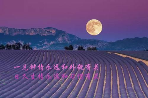 一到两岁宝宝睡前故事精选