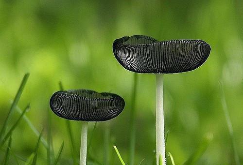 【推荐】回忆童年作文300字三篇