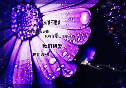 关于人生感悟的心情短语大全