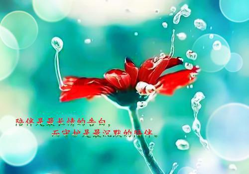 网络兼职正能量语录