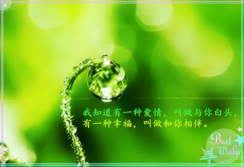 电影《夺冠》观后感