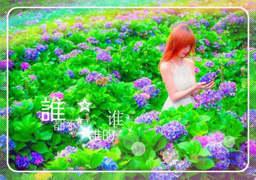 关于团结的谚语或格言