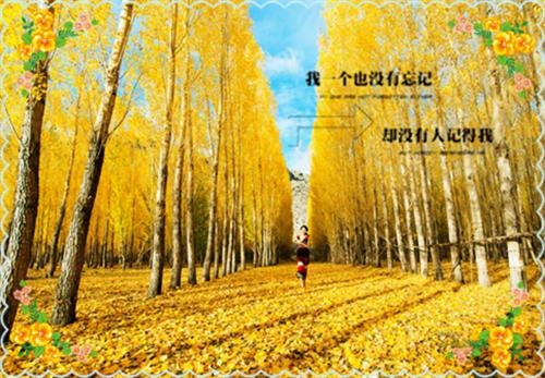 史上最感人爱情故事
