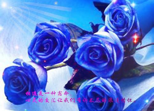 《千与千寻》观后感1200字