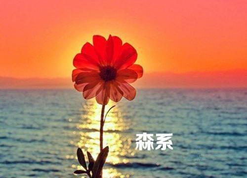 脱轨时代张静初台词