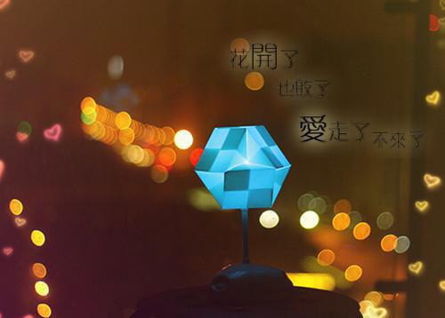 楂楂和小天使的动物故事
