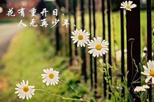 乐于助人的名言警句