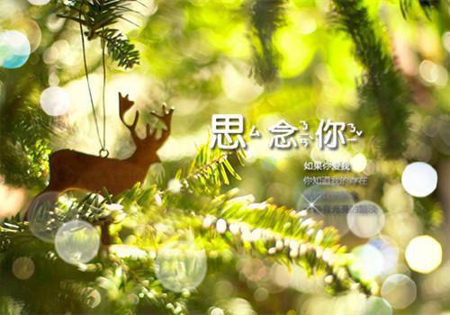 2021年经典悲伤签名摘录65句