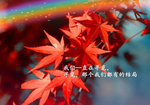 名家关于母爱的散文诗