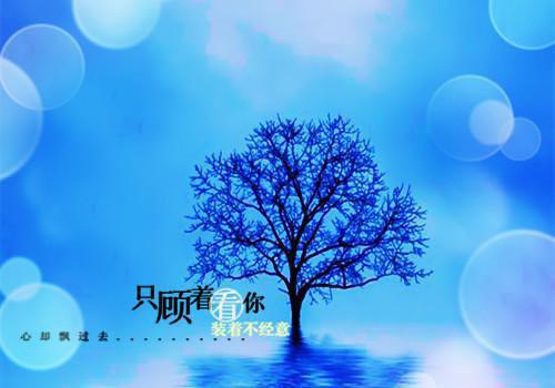 高考状元励志文章
