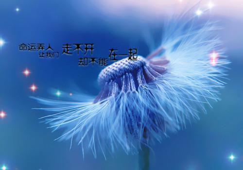让人惊艳的唯美句子
