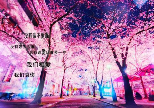 二十条朴素的人生哲理