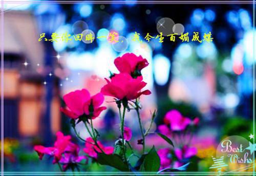 经典的哲理小故事及感悟
