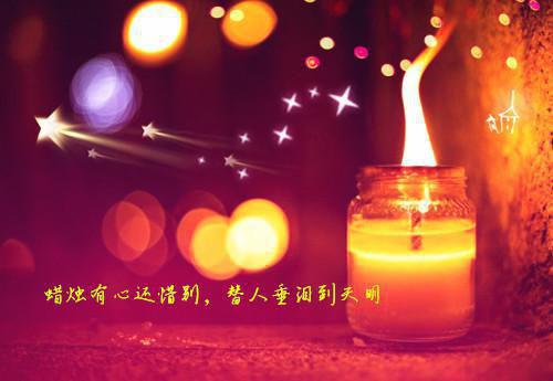 百合花的散文诗3篇