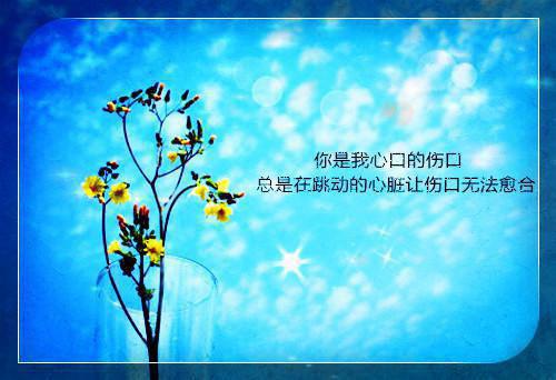 大学生青春励志语录精选