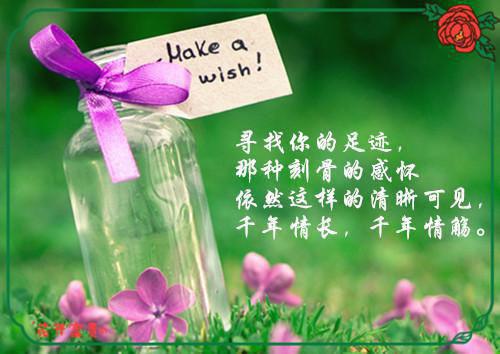 古风爱情的优美句子