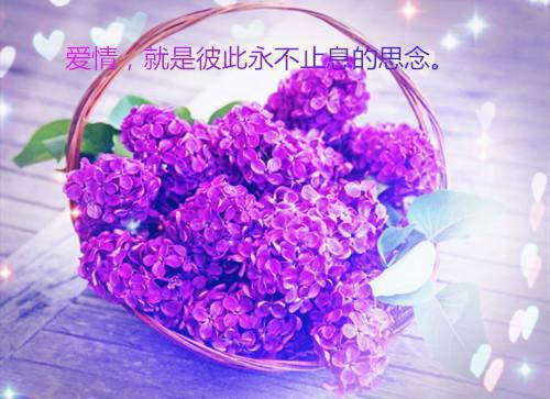 关于勤奋学习的格言