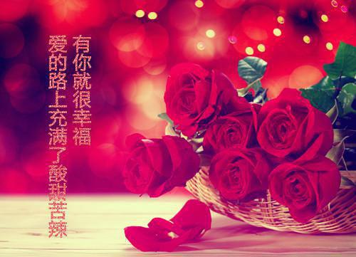 254789631小说完整版资源免费试读