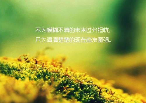 励志年轻人的经典美文