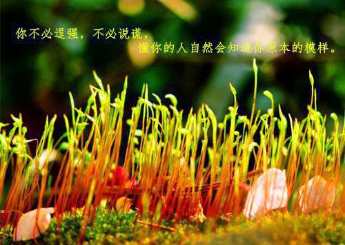 人生感悟一句话