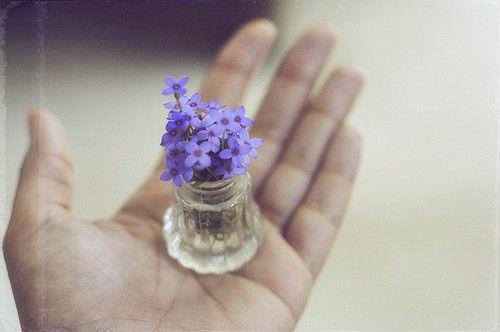 绣球花的花语
