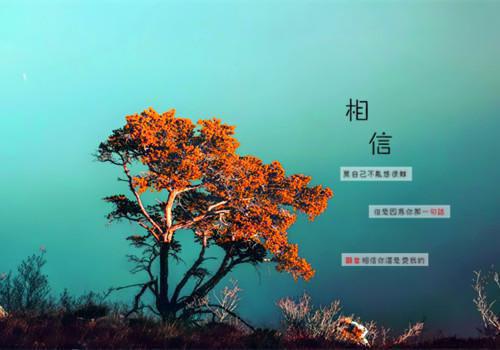 關于兒童好聽的睡前故事