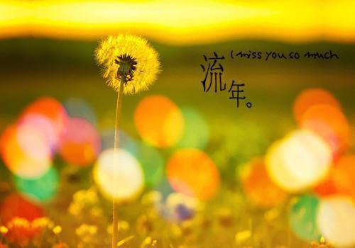 七月与安生的经典台词