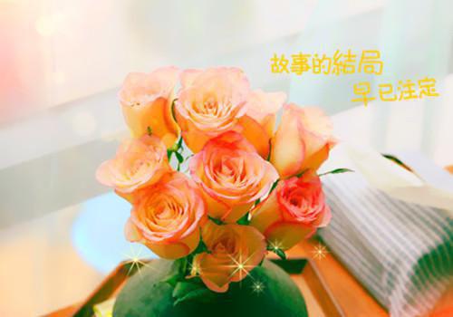 《十万个为什么》读后感优秀作文