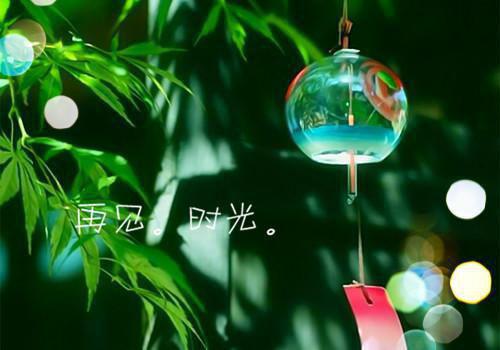 描写芒种的谚语和诗词