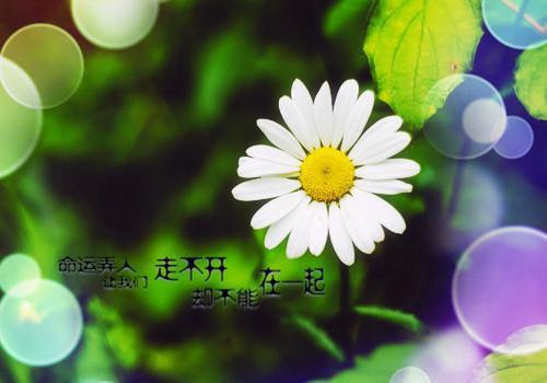 亲情短篇小故事