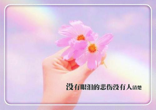 形容师德的名人名言