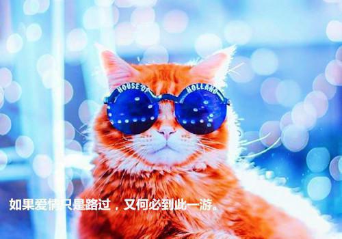 简单的励志的句子合集56条