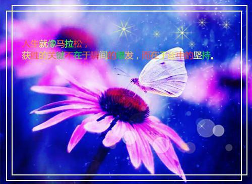 关于理性的励志名言