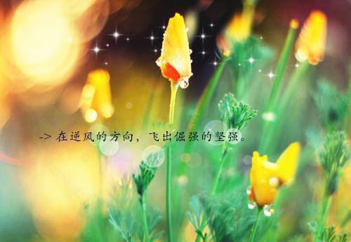 包饺子的小学日记七篇