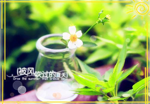 有哪些中國傳統神話故事