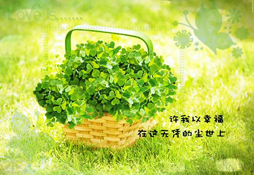 有关百事可乐的顺口溜有哪些