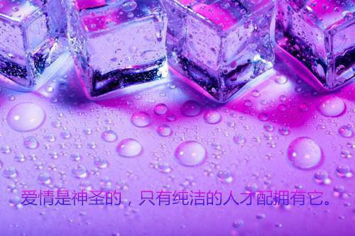 性感爱情名言