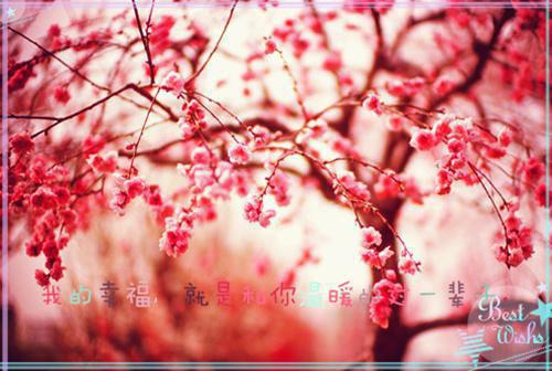 励志高考名言
