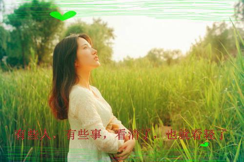 哲理小故事：小刺猬的蛋糕王冠