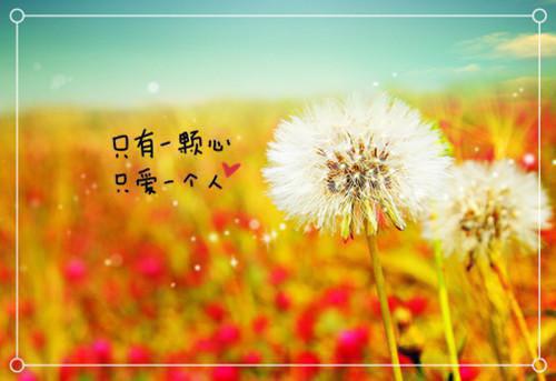 《红旗谱》读书笔记