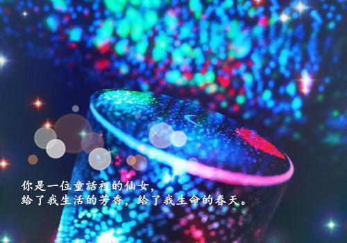 春节放假日记200字