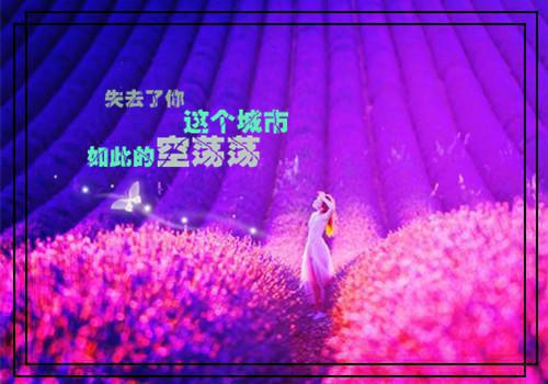 dtl绕口令