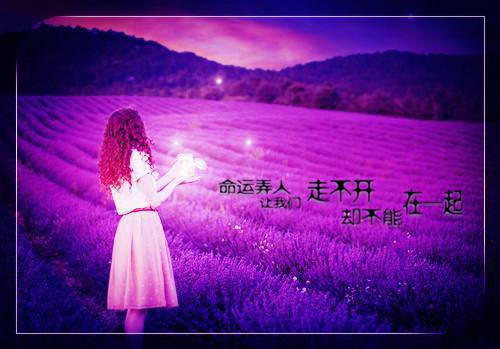 老爸的日记