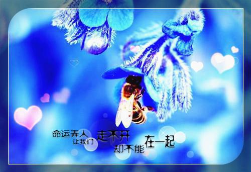 儿童读书格言