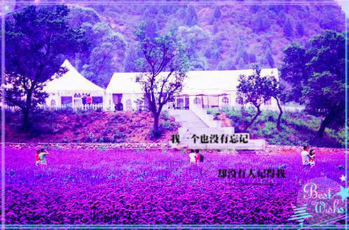 2021说说大全爱情句子